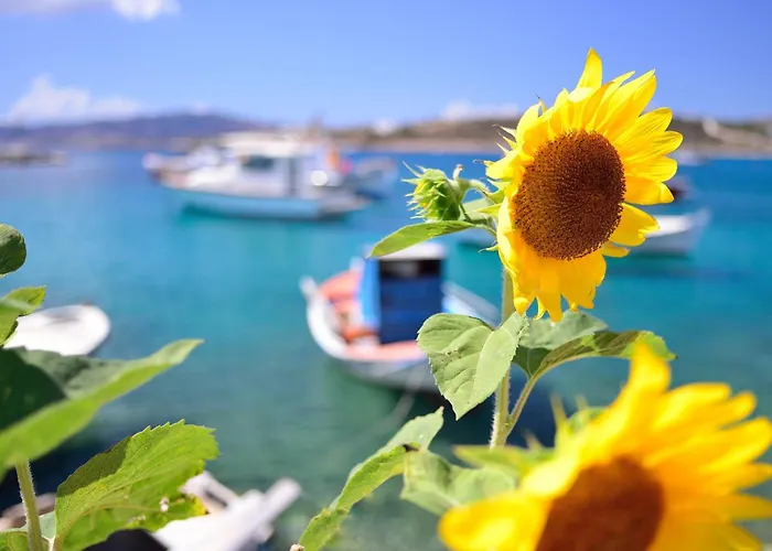 Exohiko Aliki (Paros)